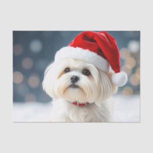 Maltese Tissue Paper