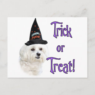 Maltese Trick Postcard