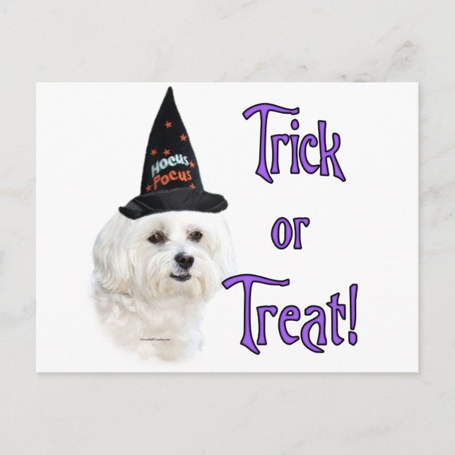 Maltese Trick Postcard (Front)