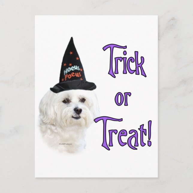 Maltese Trick Postcard (Front)