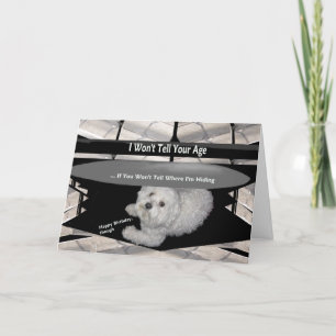 Maltese Under the Table Birthday Humour Card
