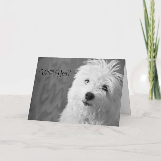 Maltese Valentine Card (Front)