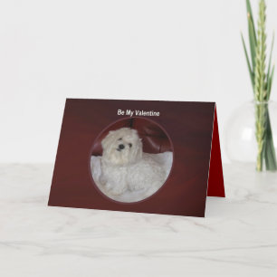 Maltese Valentine - You Have My Heart Card