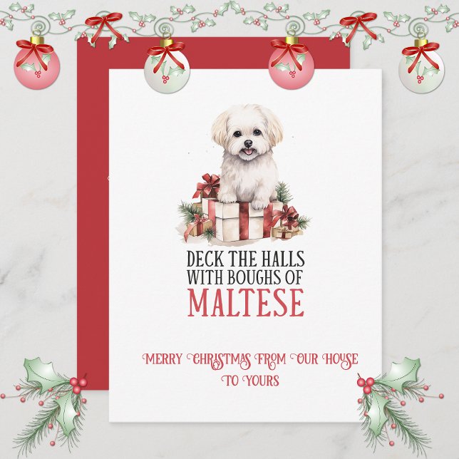 Maltese Whimsical Christmas | Holiday Card (Creator Uploaded)