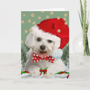 Maltese Wish You Merry Christmas Card