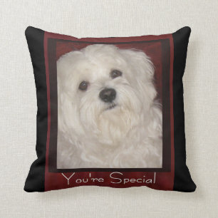 Maltese 'You're Special' Pillow-Wht/Black/Burgundy Cushion