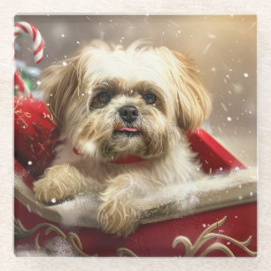 Malti Tzu Dog Christmas Festive Glass Coaster
