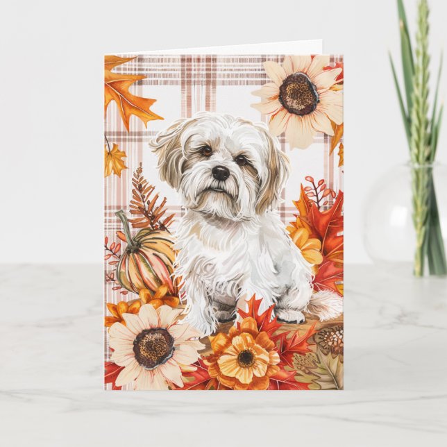 Malti Tzu Dog Fall Thanksgiving Card (Front)