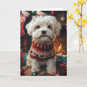 Malti Tzu Dog With Christmas Gifts Fireplace  Card