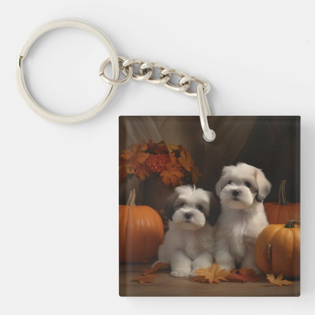 Malti tzu Puppy Autumn Delight Pumpkin Key Ring (Front)