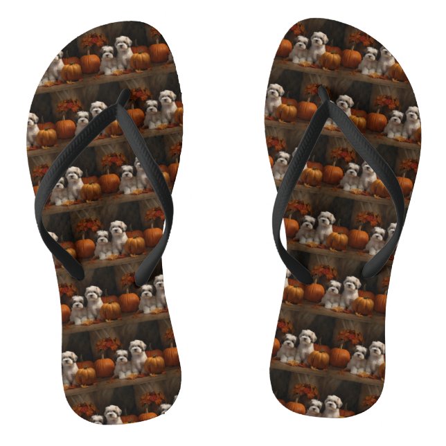 Malti tzu Puppy Autumn Delight Pumpkin Thongs (Footbed)