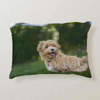 Maltipoo Decorative Cushion