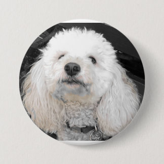 MaltiPoo dog buttons