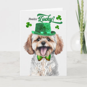 Maltipoo Dog Feelin' Lucky St Patrick's Day Holiday Card
