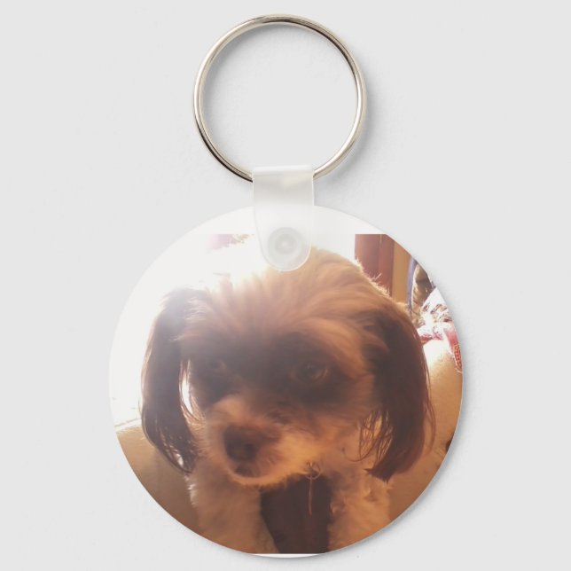Maltipoo Keychain (Front)