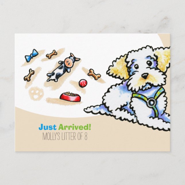 Maltipoo Mixed Breed New Puppy Social Postcard (Front)