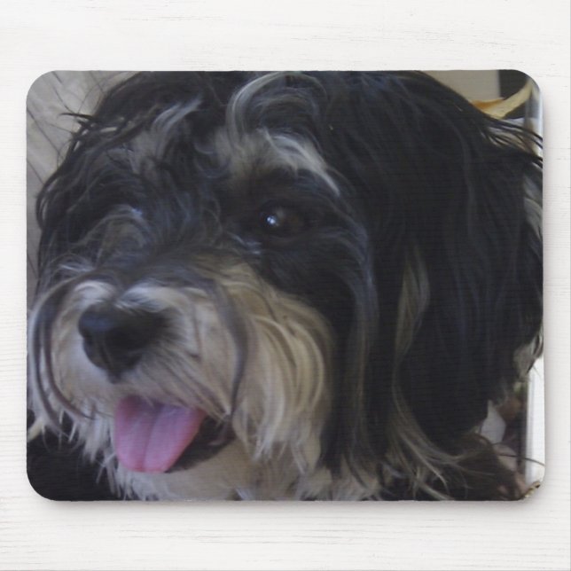 maltipoo mousepad (Front)