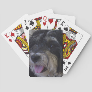maltipoo pack of cards
