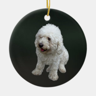 Maltipoo Puppy Ceramic Ornament