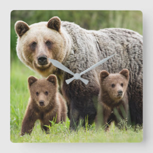 Mama and Babies Grizzly Bears Square Wall Clock