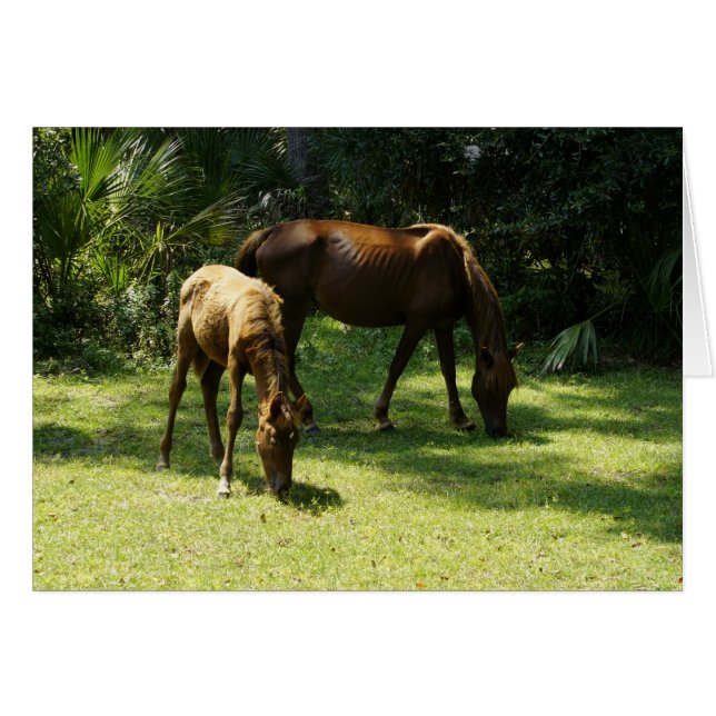 Mama and Baby (Front Horizontal)