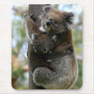 Mama and Baby Koala Mouse Pad