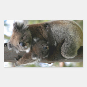 Mama and Baby Koala Rectangular Sticker