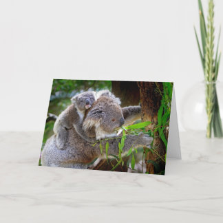 Mama and Baby Koalas Card