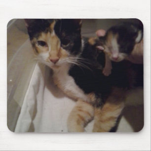 Mama and Baby Mouse Pad