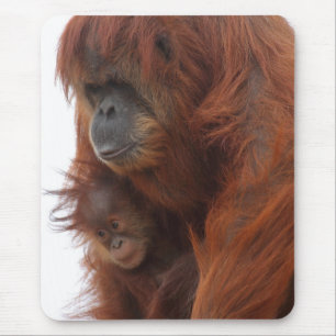 Mama and baby Orangutan Mouse Pad