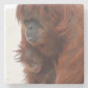 Mama and baby Orangutan Stone Coaster