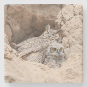 Mama and Baby Owl Stone Coaster