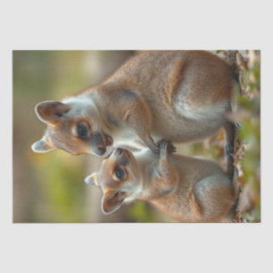 Mama And Baby Quokka Life Lessons, Tissue Paper