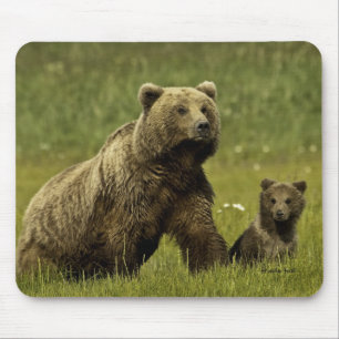 Mama bear and cub mouse pad