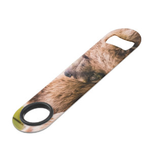 Mama bear nursing her two cubs, Lake Clark Nationa