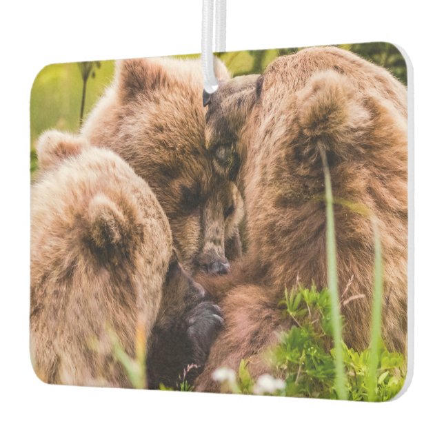 Mama bear nursing her two cubs, Lake Clark Nationa Car Air Freshener (Left)