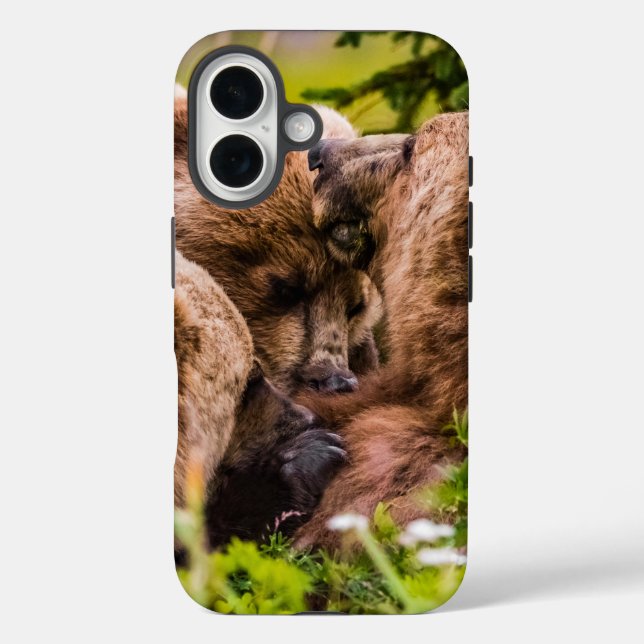 Mama bear nursing her two cubs, Lake Clark Nationa Case-Mate iPhone Case (Back)