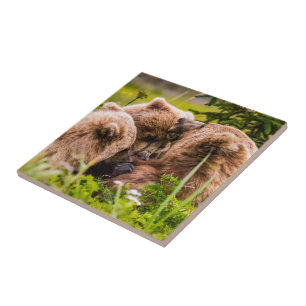 Mama bear nursing her two cubs, Lake Clark Nationa Ceramic Tile