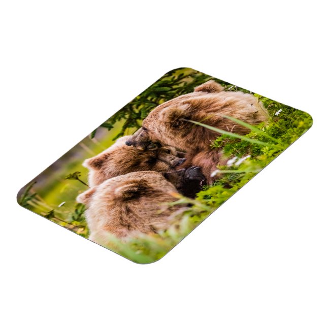 Mama bear nursing her two cubs, Lake Clark Nationa Magnet (Left Side)