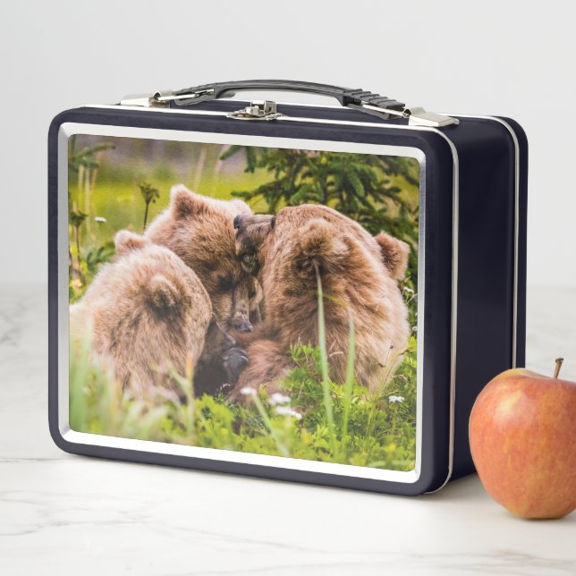 Mama bear nursing her two cubs, Lake Clark Nationa Metal Lunch Box (In Situ)