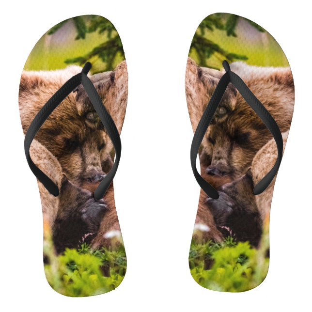 Mama bear nursing her two cubs, Lake Clark Nationa Thongs (Footbed)