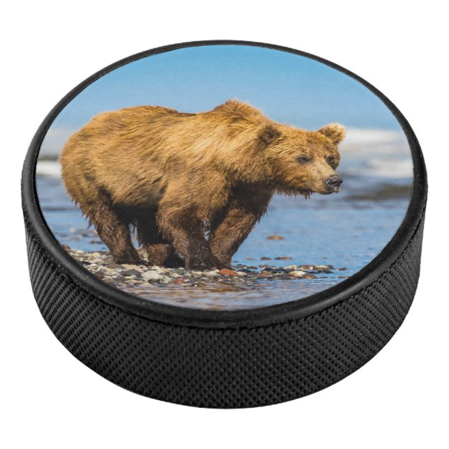 Mama bear watching her two kids hockey puck (3/4)