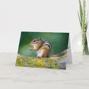 Mama Chipmunk Card