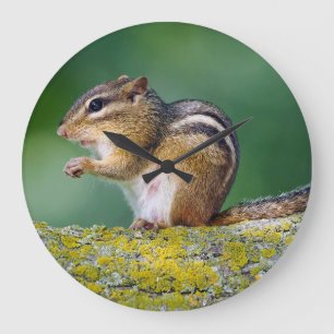 Mama Chipmunk Large Clock