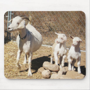 Mama Doe and  Kids - Pygmy Goat Family - Western Mouse Pad