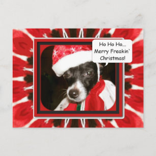 Mama Dressed Me, Merry Freakin` Christmas Holiday Postcard