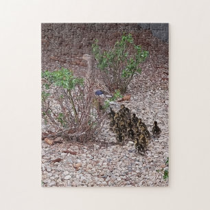 mama duck and babies jigsaw puzzle