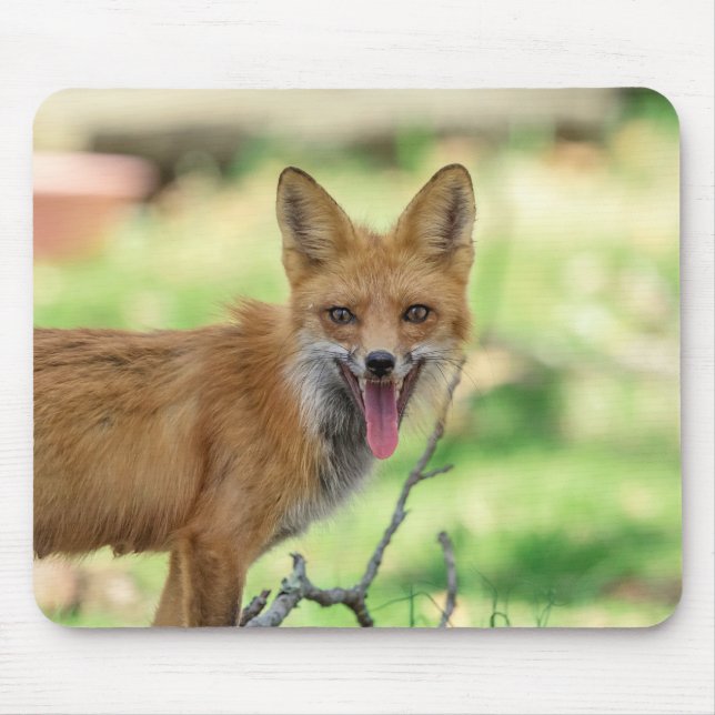 Mama Fox in the Hudson Valley Mouse Pad (Front)