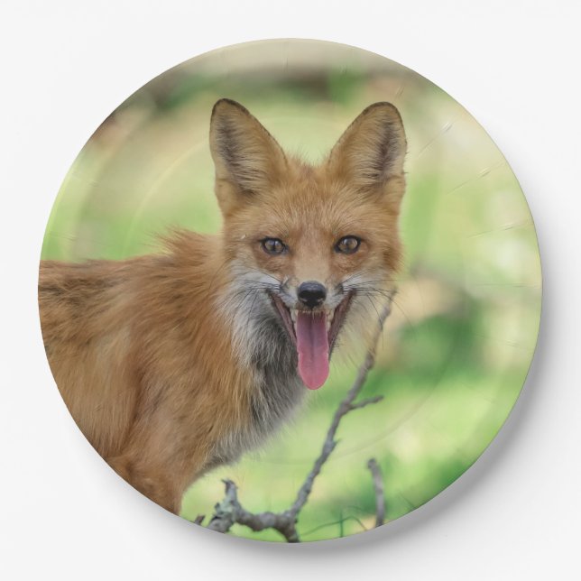Mama Fox in the Hudson Valley Paper Plate (Front)