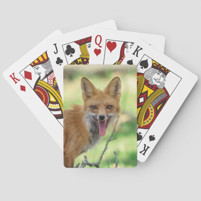Mama Fox in the Hudson Valley Playing Cards (Back)